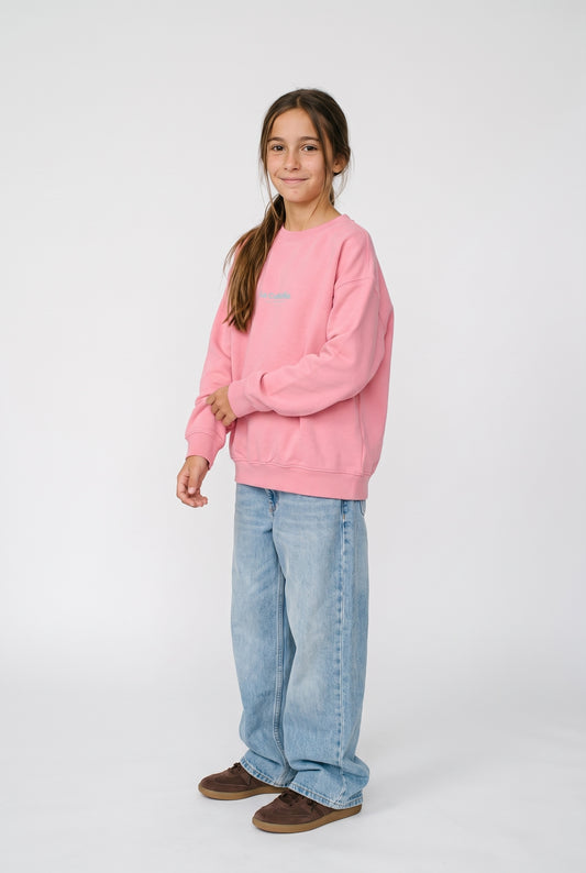 SUDADERA ROSA/CELESTE "LA CORUÑA" – foto 5