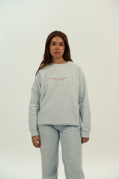 LIGHT BLUE/PINK "VIGO" SWEATSHIRT