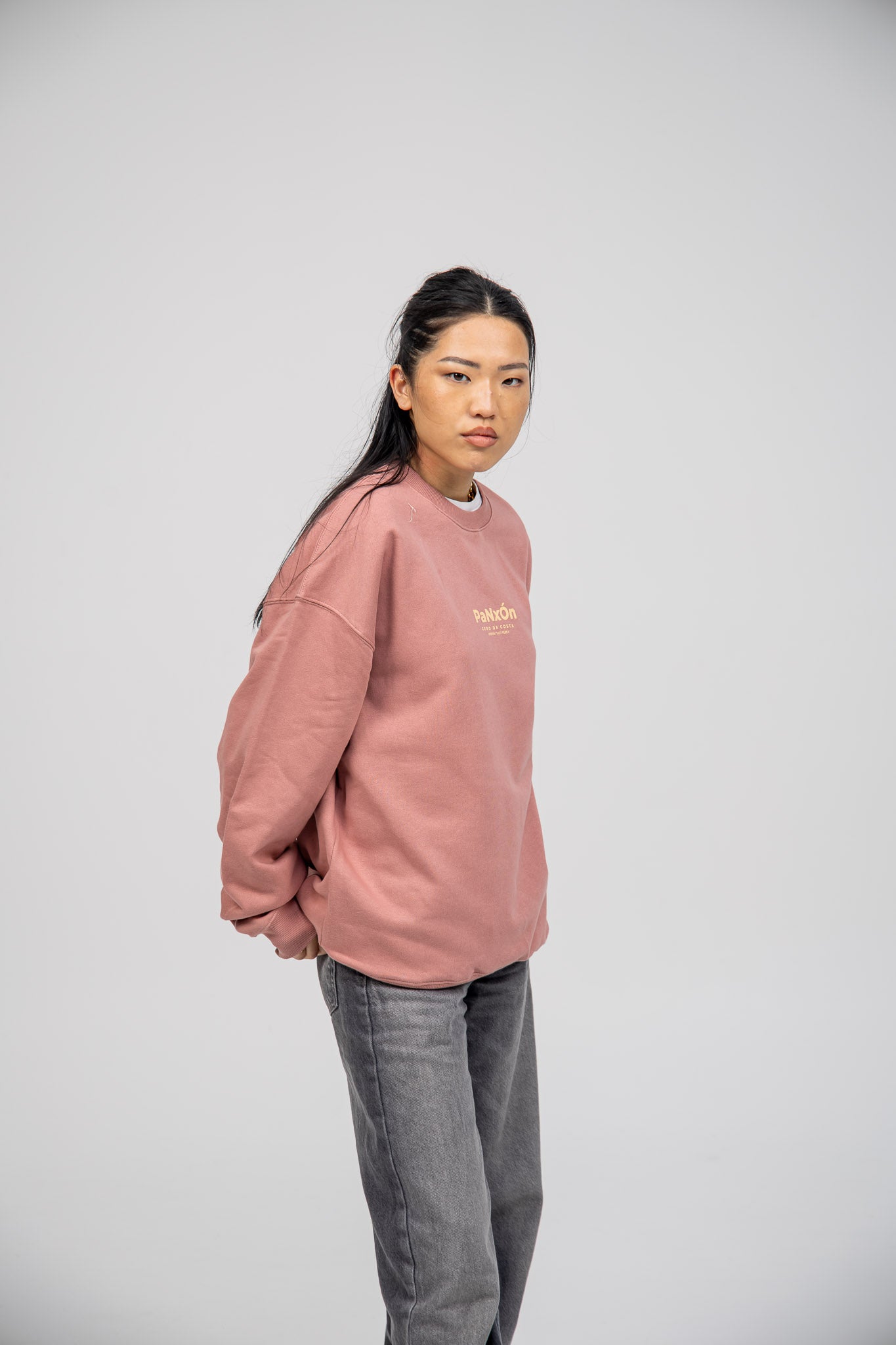 PINK/BEIGE SWEATSHIRT "PANXÓN"