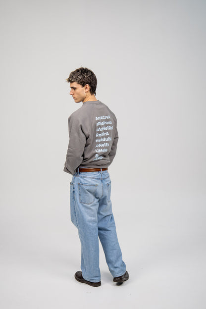 GREY/BLUE "MORRAZO" SWEATSHIRT