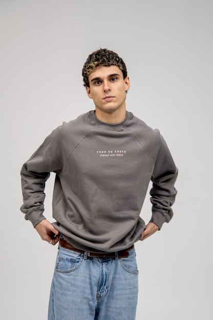GREY/PINK "SURF BEACHES" SWEATSHIRT