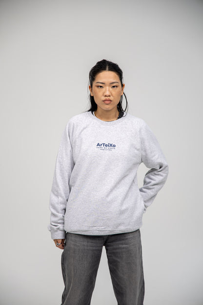GREY/BLUE "ARTEIXO" SWEATSHIRT