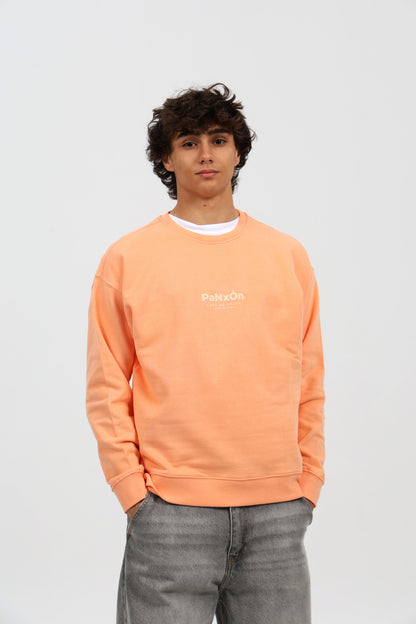 SUDADERA MELOCOTÓN/BEIGE "PANXÓN"