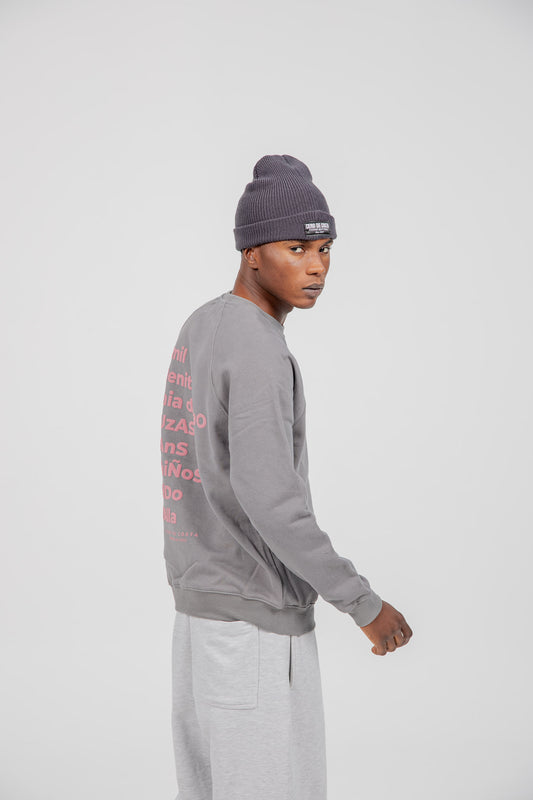 GREY/PINK "VIGO" SWEATSHIRT