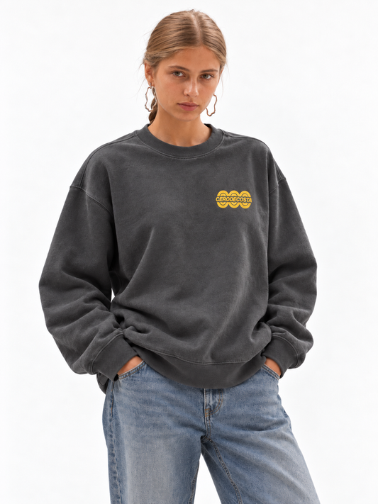 SUDADERA ANTRACITA-LAVADO/BEIGE "TOUR LOGO"