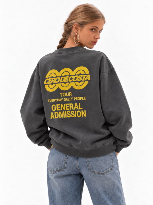 SUDADERA ANTRACITA-LAVADO/BEIGE "TOUR LOGO"