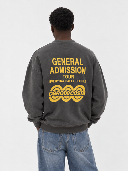 SUDADERA ANTRACITA-LAVADO/BEIGE "TOUR LOGO"