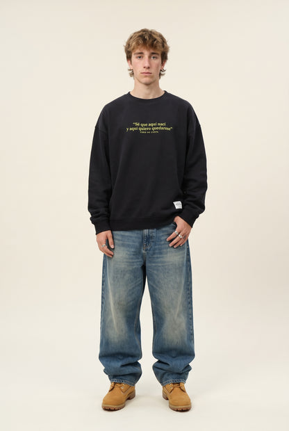 SUDADERA ANTRACITA-O/VERDE "LOS LIMONES" – foto 5